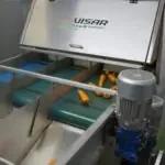 Visar Potato & Carrot Optical Sorting