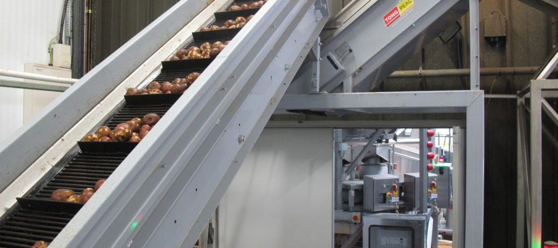 Vegetable Conveying Equipment