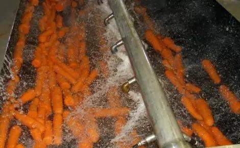 U-Brush Vegetable Polisher