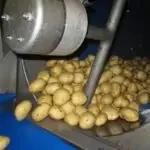 TPS-PRO Vegetable Polisher