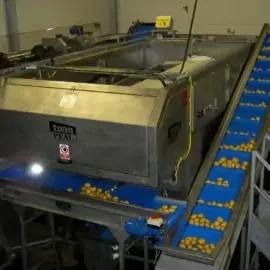 Martin Maq Vegetable Polisher