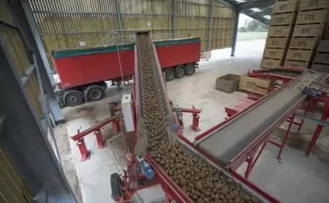 Vegetable Pilers