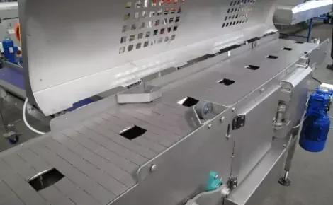 Broccoli Trimming Machine