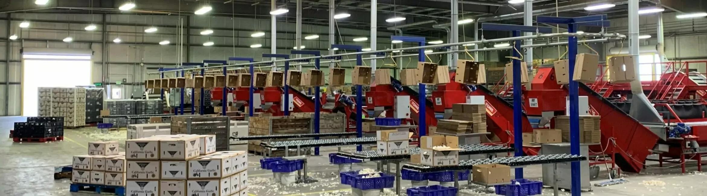 Tank Vegetable Weighers & Baggers