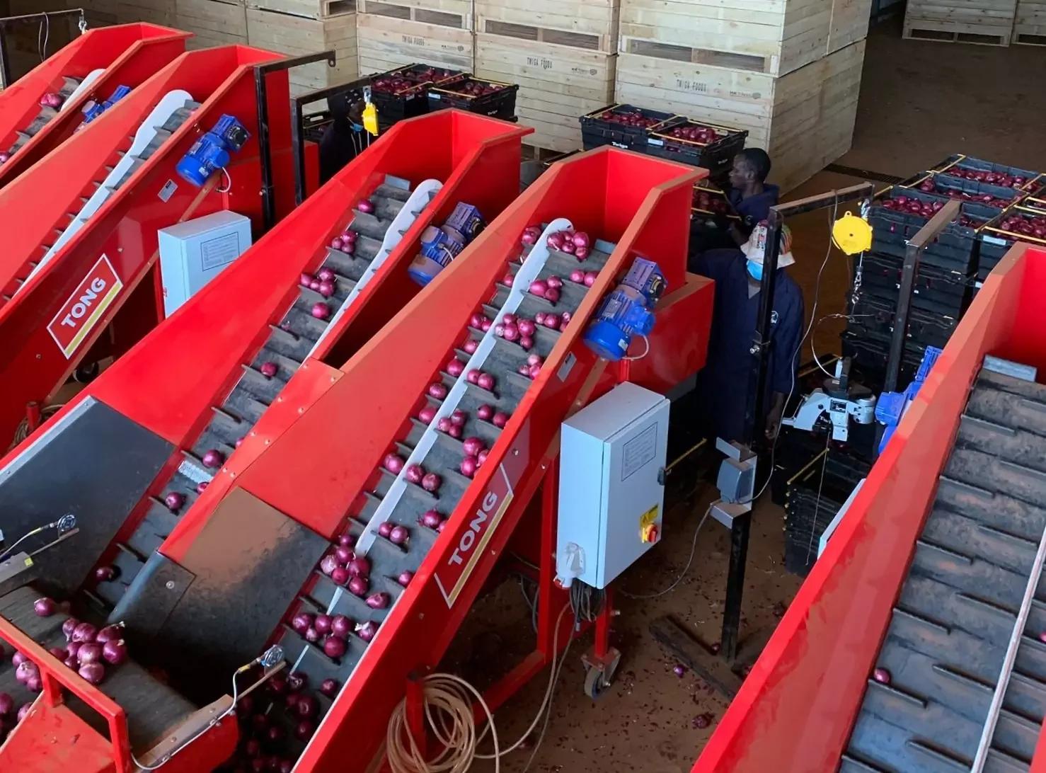 Tank Vegetable Weighers & Baggers