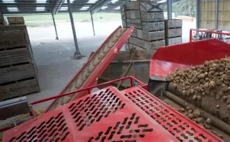 Tong Swift Lift Interstore Mobile Pilers