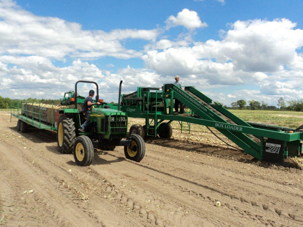 Harvesting Systems for Green Onions