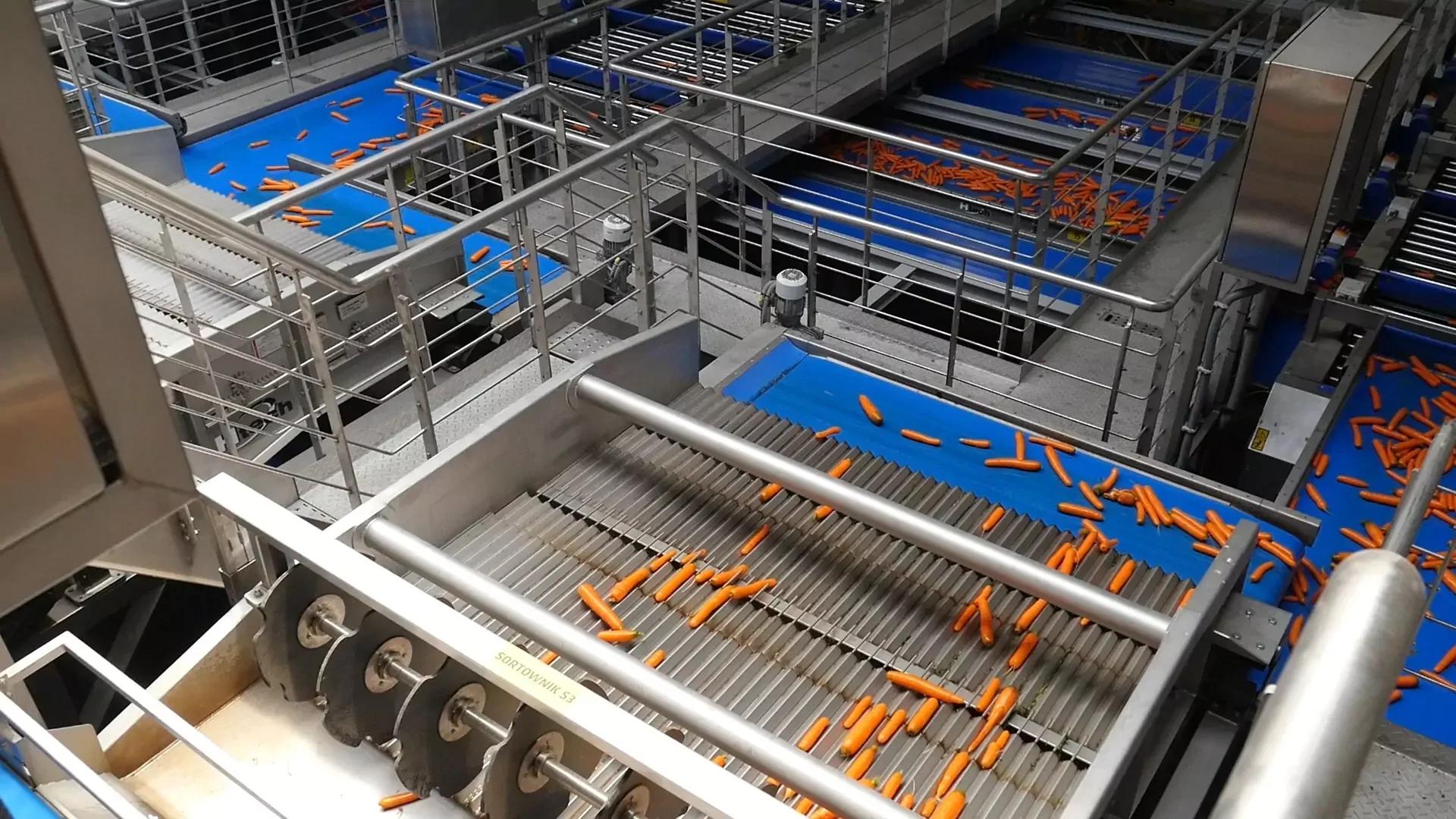 Vibrating Length Sizer