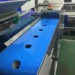 Broccoli Trimming Machine
