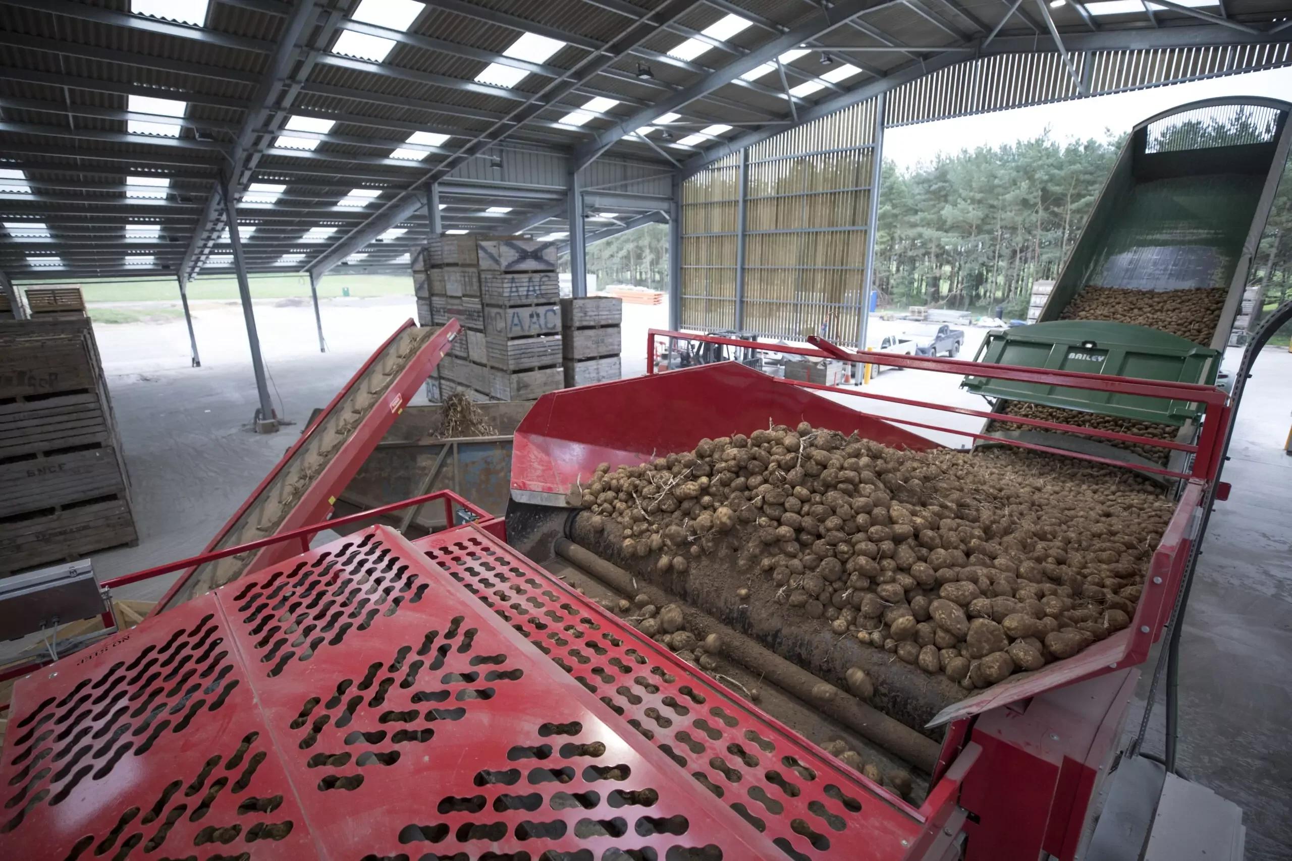 Tong Swift Lift Interstore Mobile Pilers