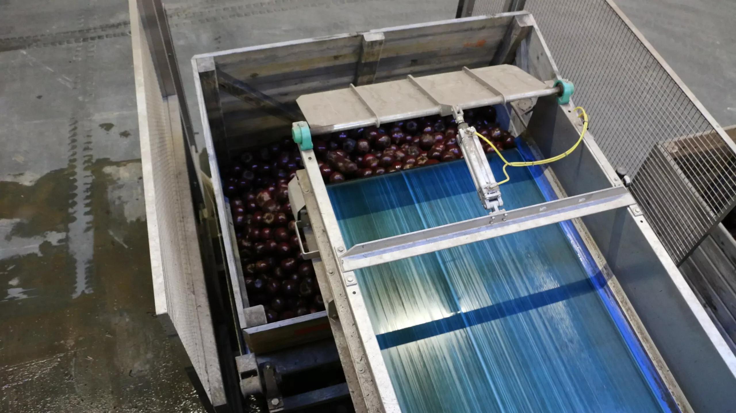 Single Bin Filler