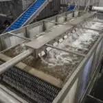 Vegetable Hydrocoolers