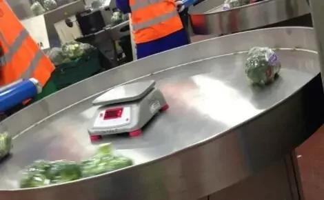Rotary Packing Tables