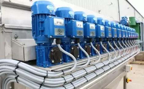 Vegetable Dryers