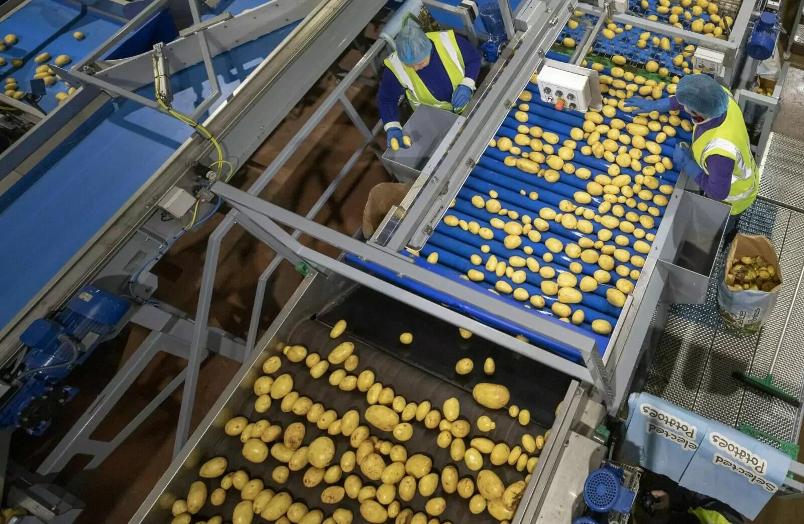 Roller Inspection Tables