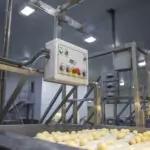 Industrial Potato Peeler