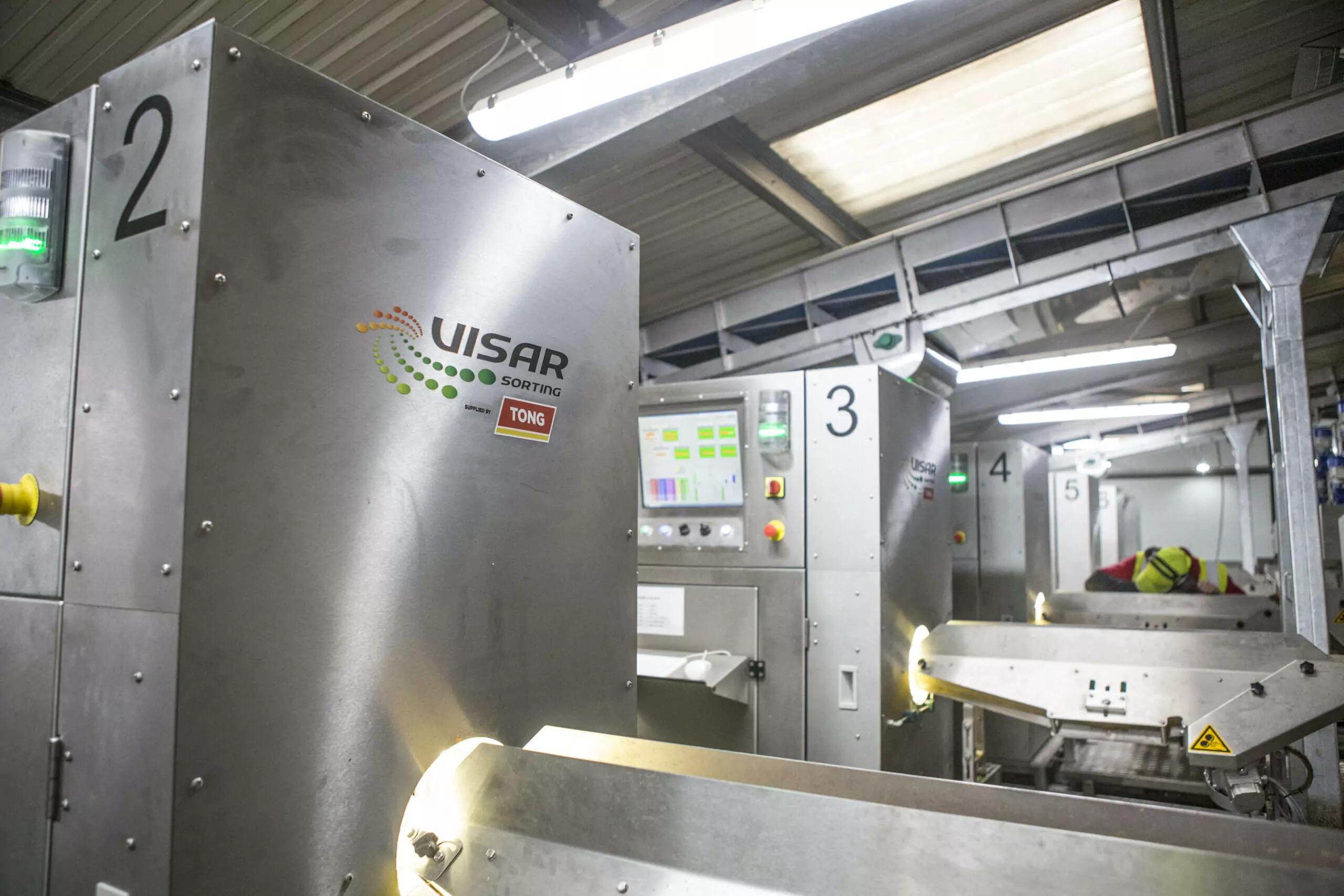 Visar Potato & Carrot Optical Sorting