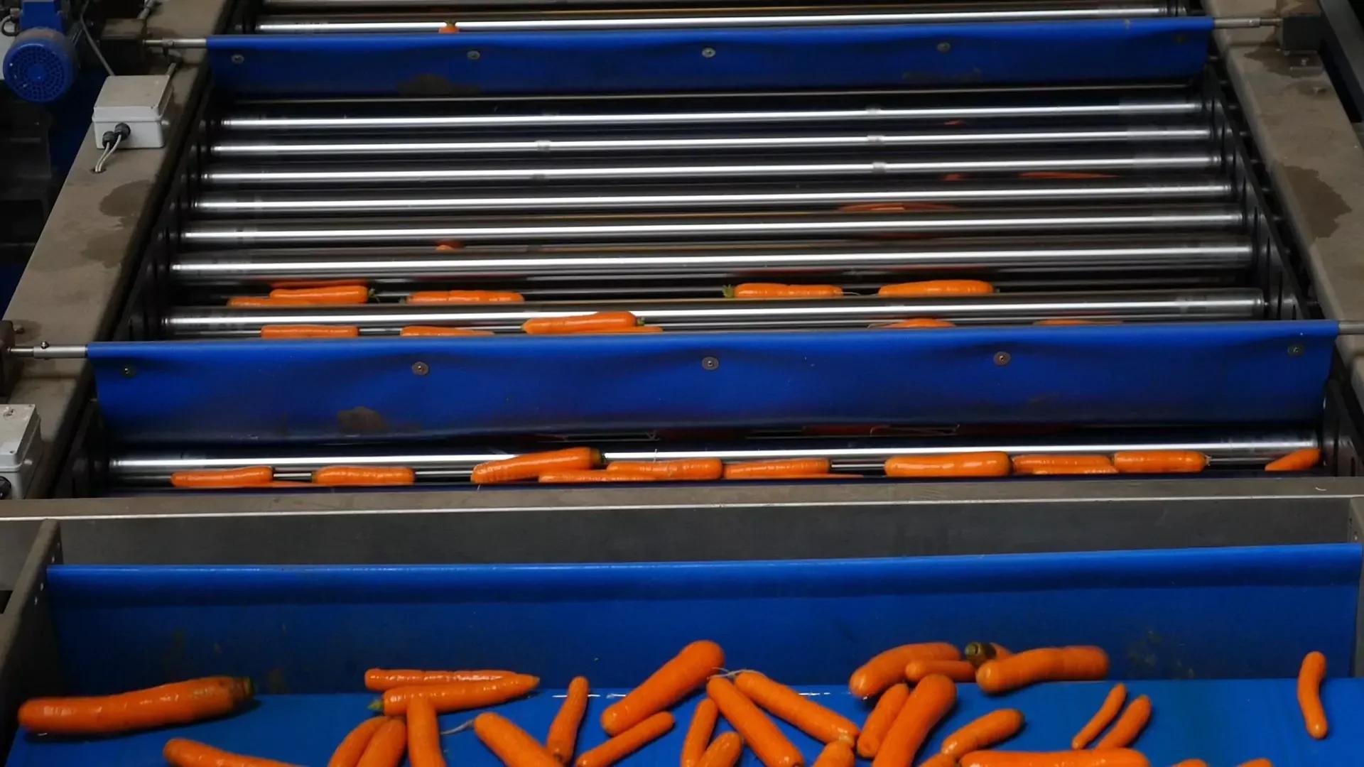 Lift Roller Sizer