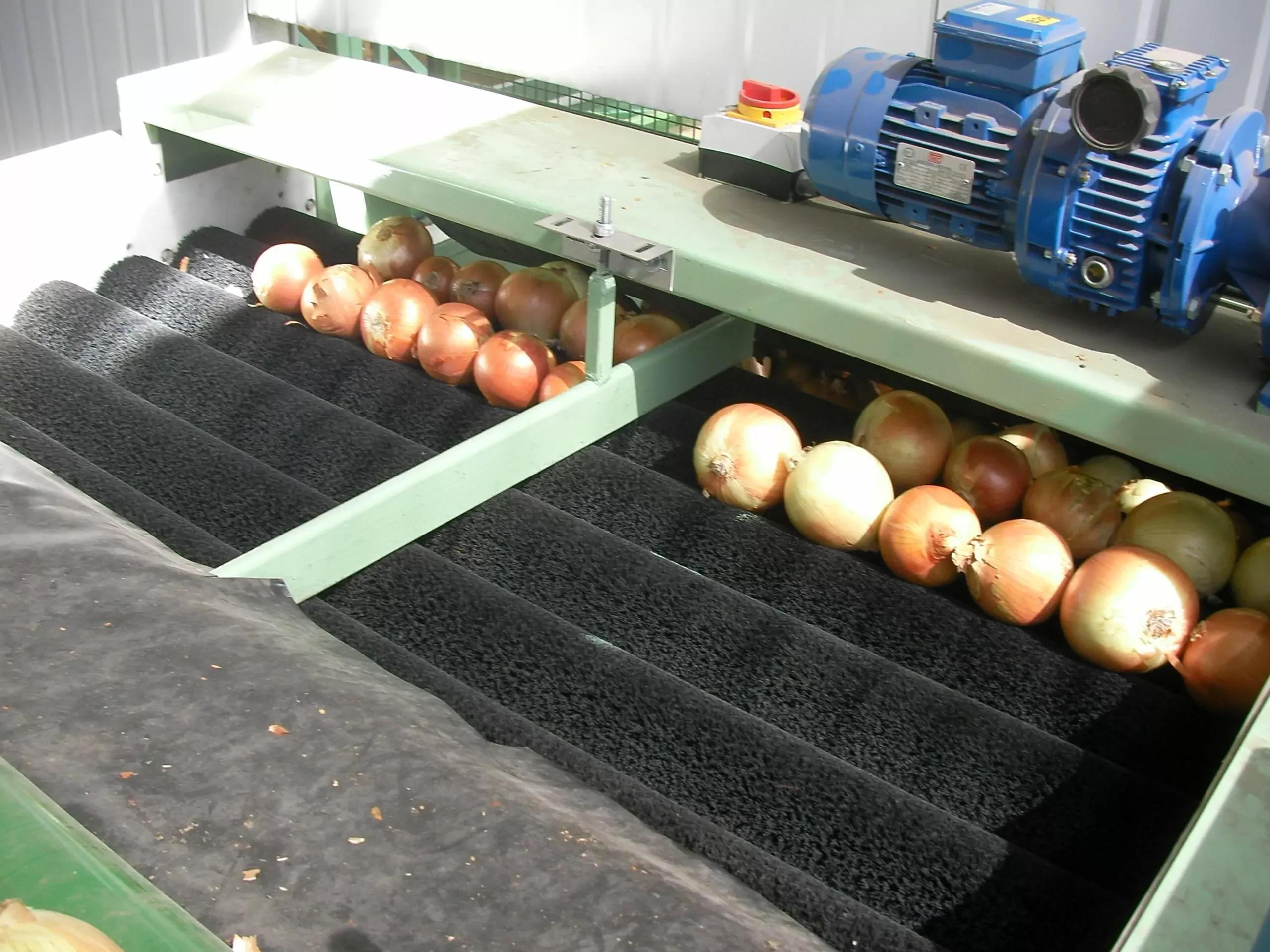 Vegetable Dry Brusher