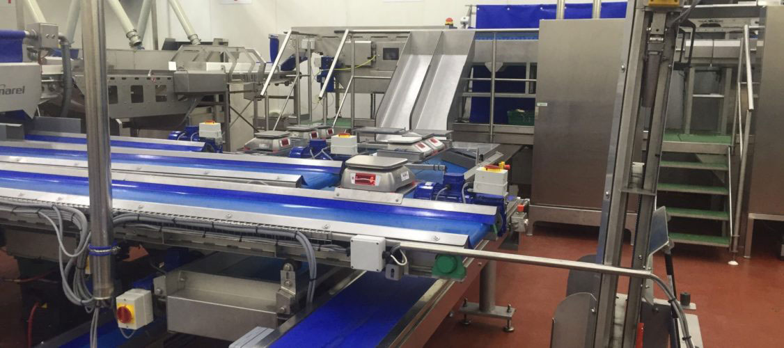 Vegetable Conveying Equipment