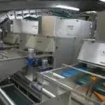 Visar Potato & Carrot Optical Sorting