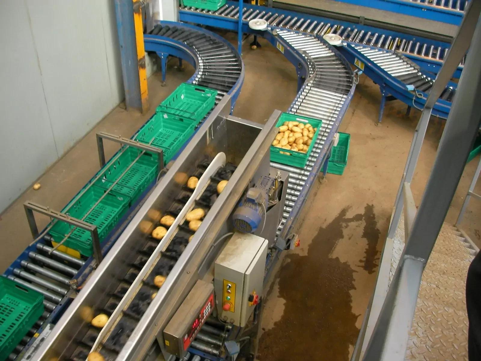 Packing Conveyors