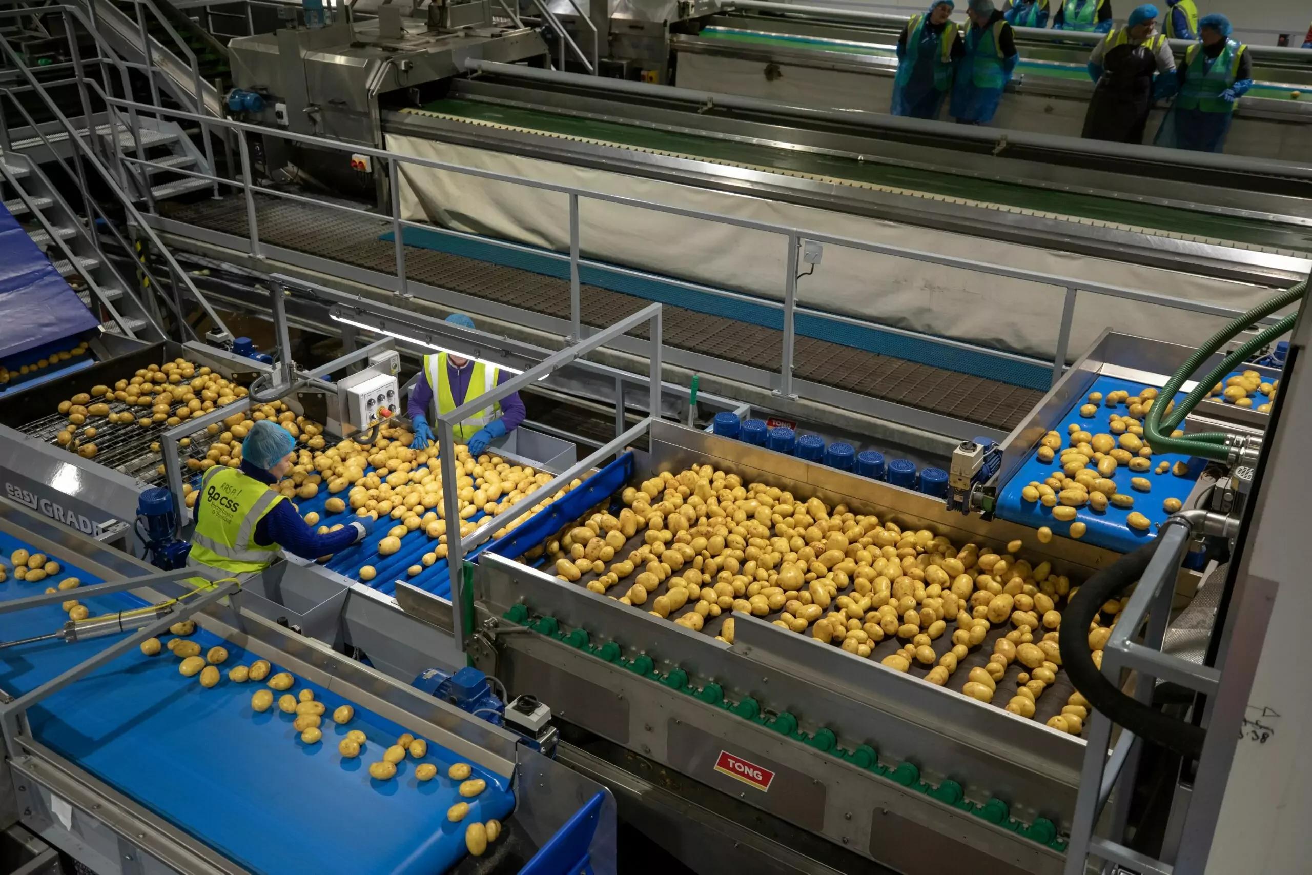 Vegetable Dryers