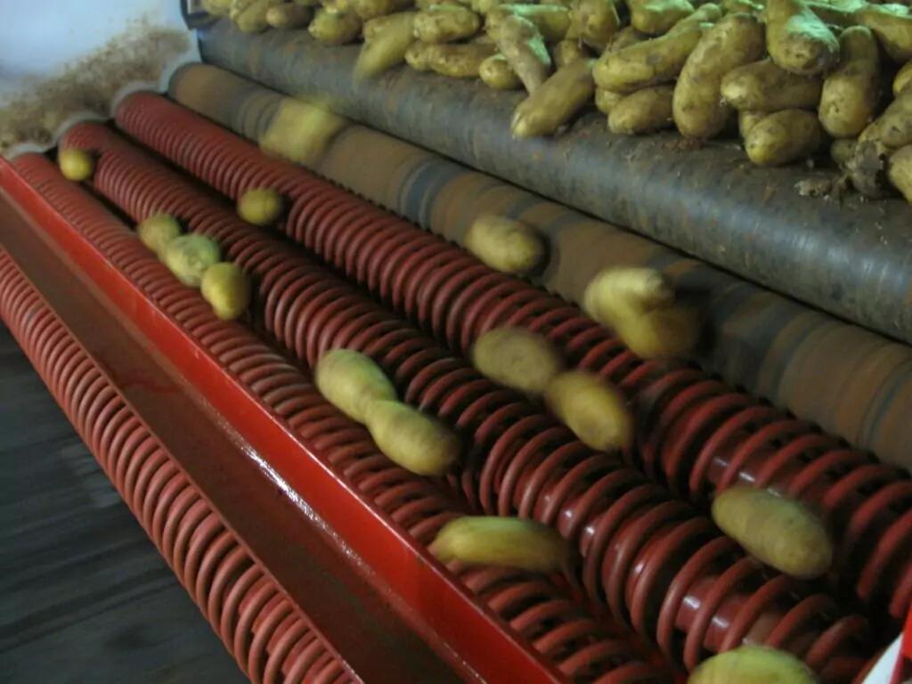 Coil Dirt Eliminator