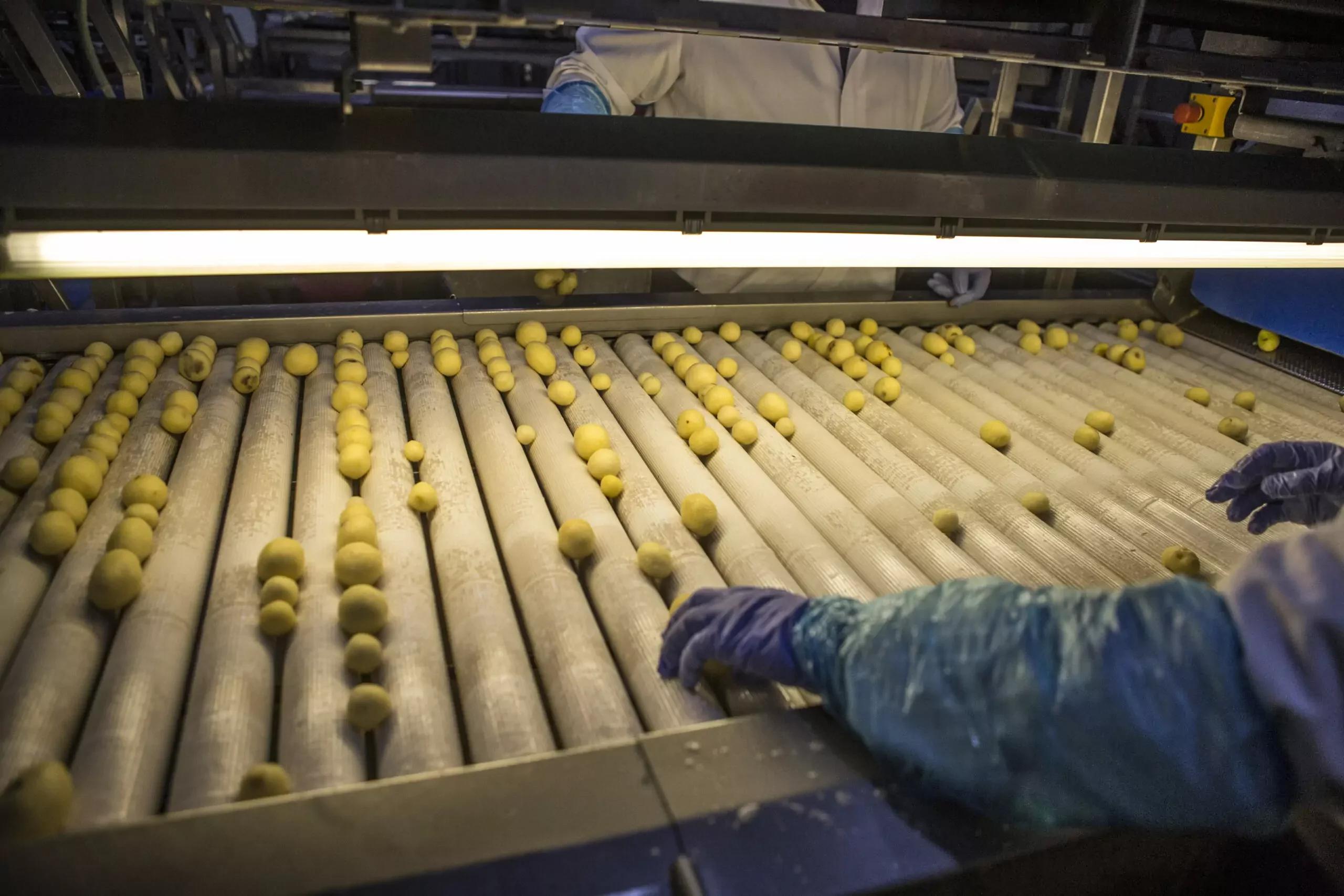 Roller Inspection Tables