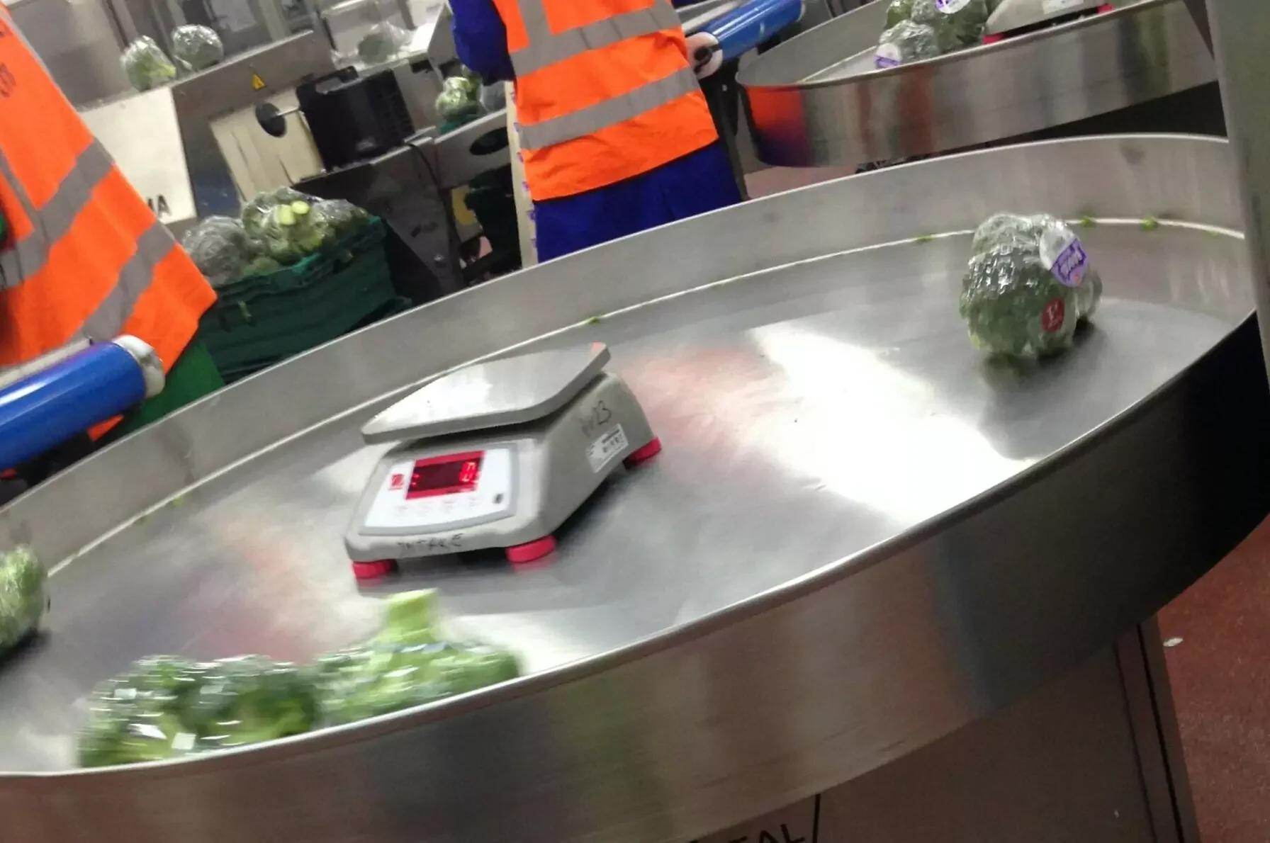 Rotary Packing Tables