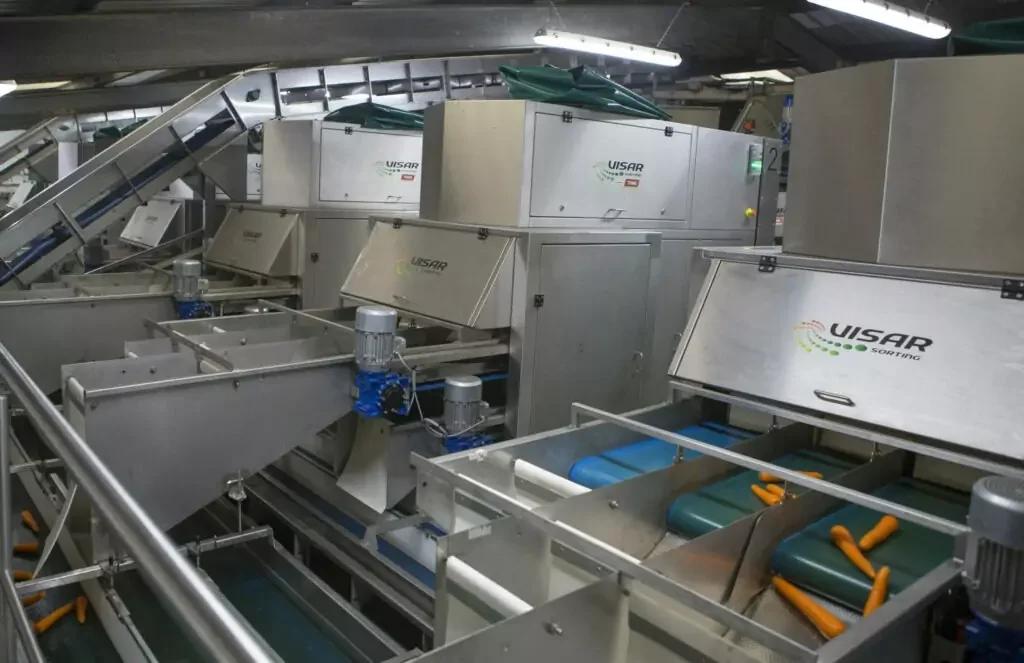 Visar Potato & Carrot Optical Sorting