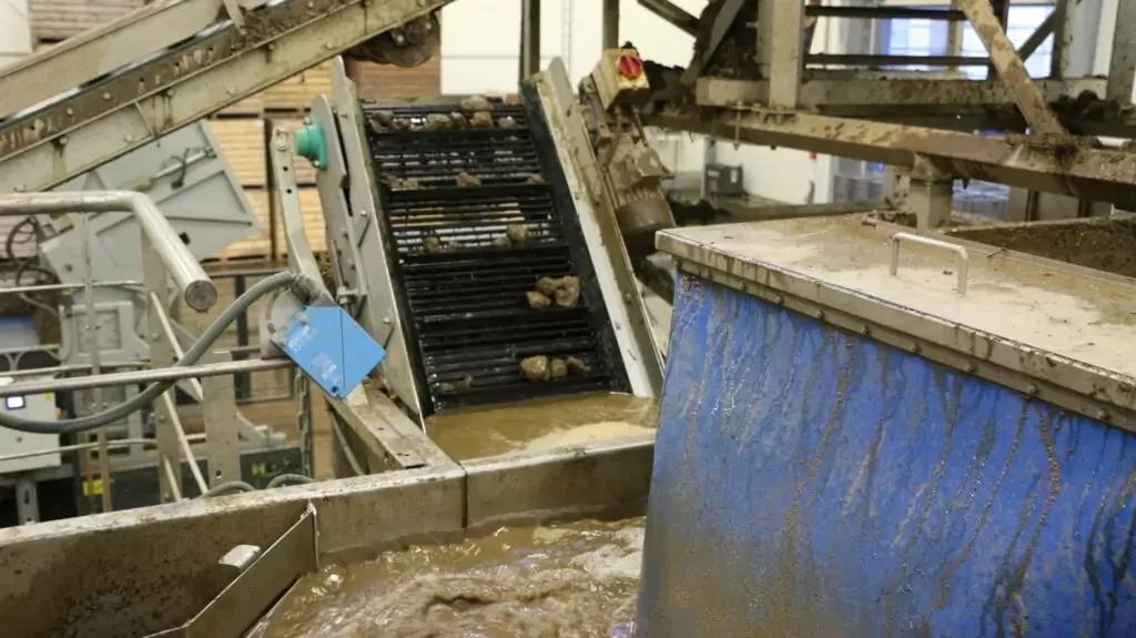 Vegetable Destoners