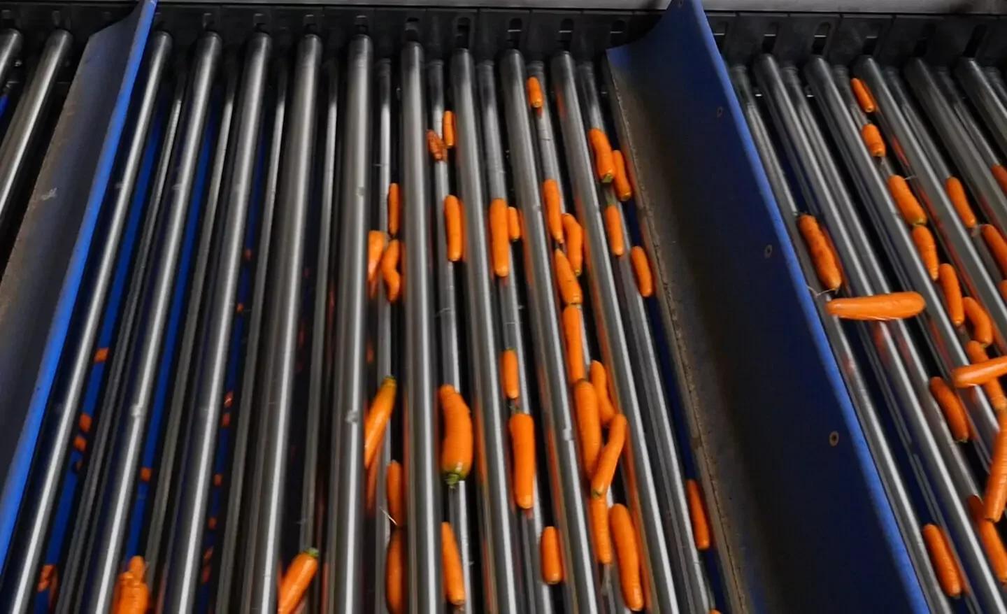 Lift Roller Sizer