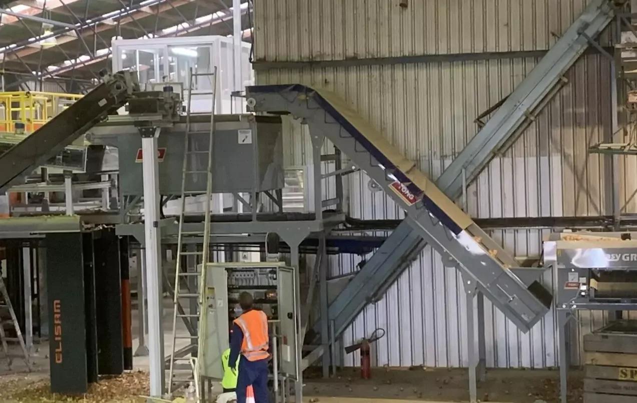Vegetable Pilers