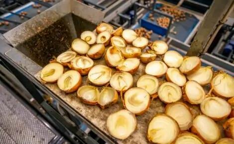 MAF RODA Potato and Onion Optical Sorting
