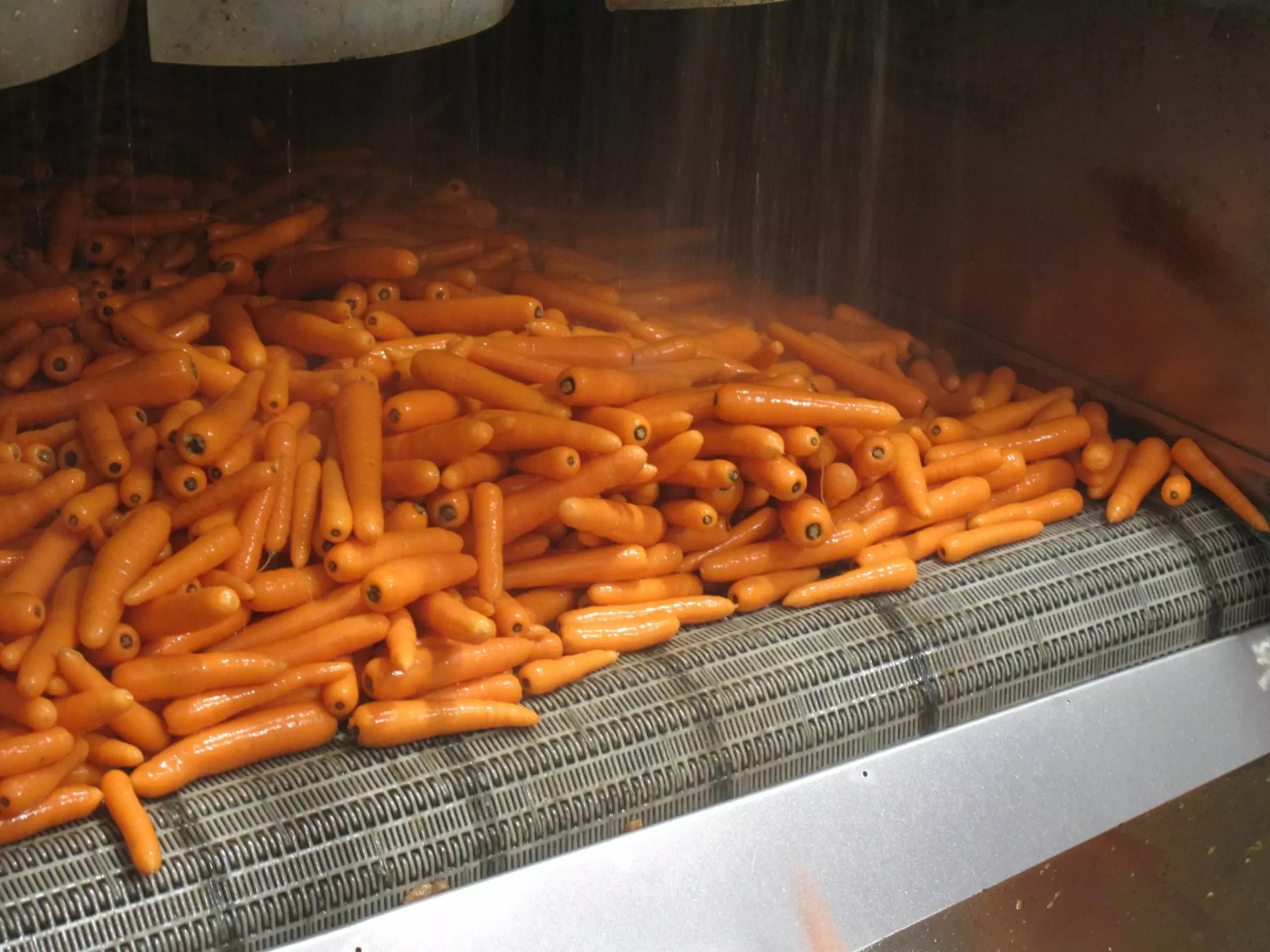 Vegetable Hydrocoolers