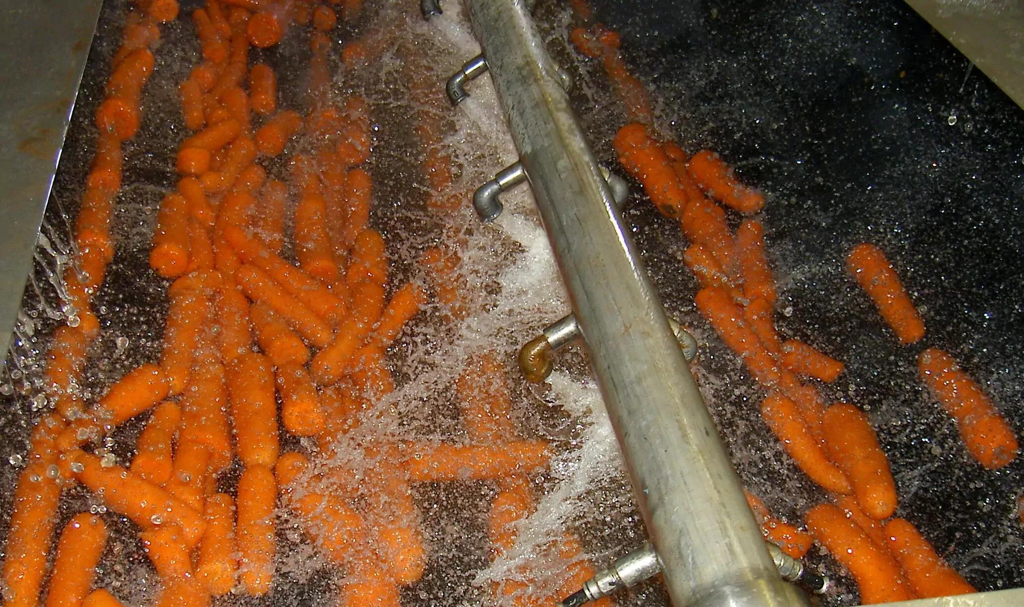 U-Brush Vegetable Polisher
