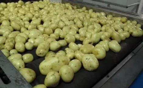 Vegetable Dryers