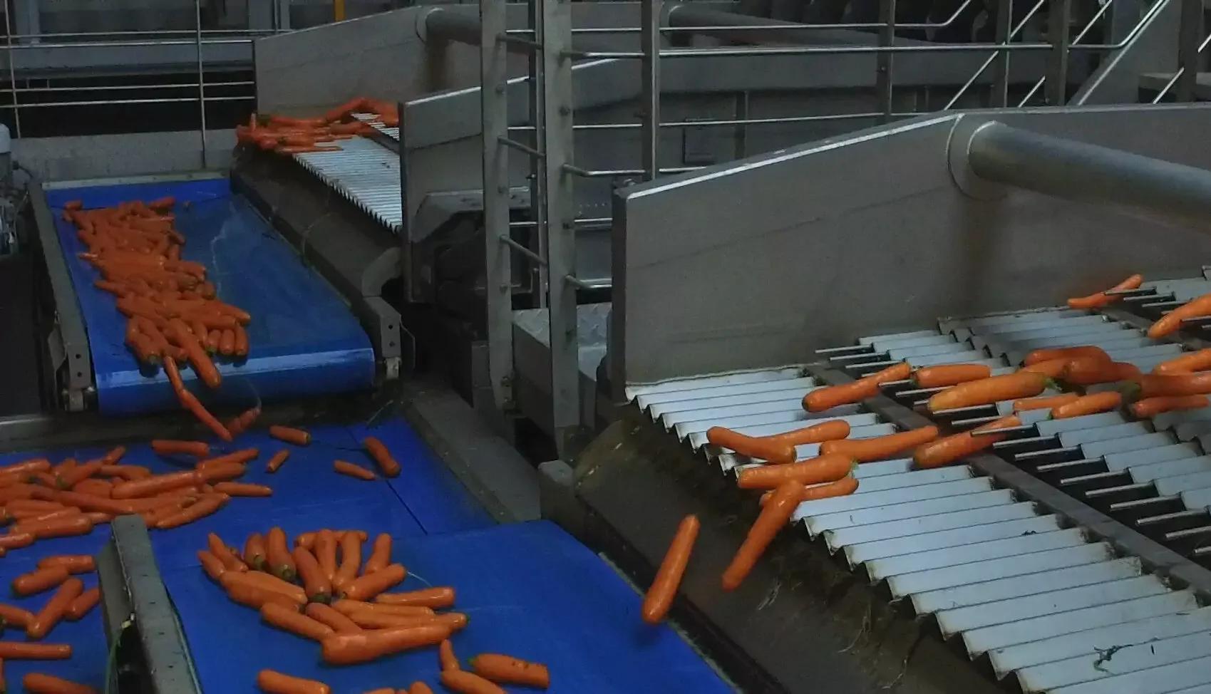 Vibrating Length Sizer