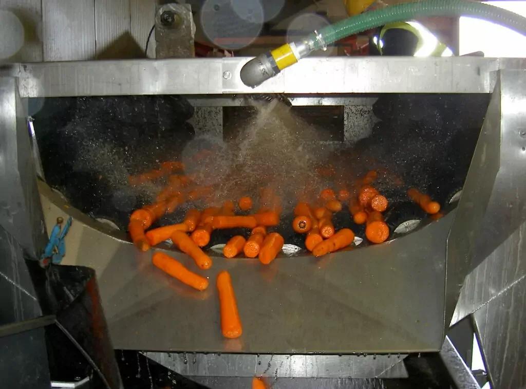 U-Brush Vegetable Polisher