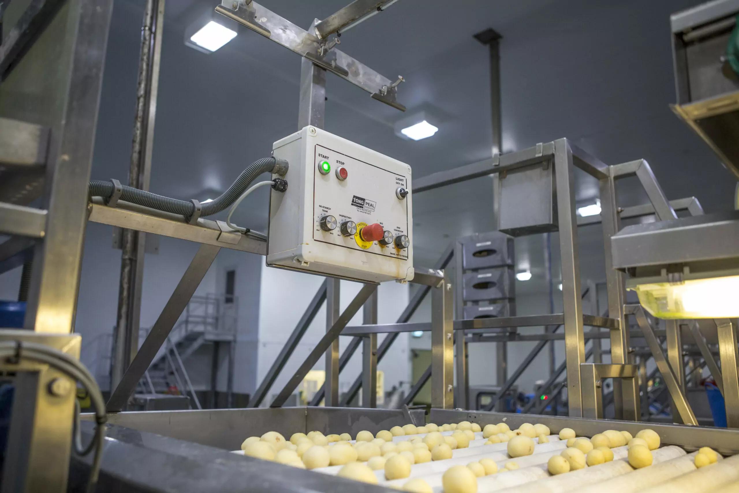 Industrial Potato Peeler