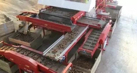 Caretaker Mobile Vegetable Sizer