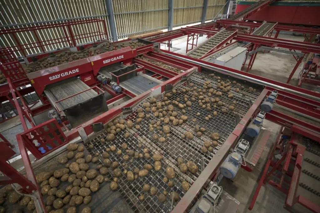 Caretaker Mobile Vegetable Sizer
