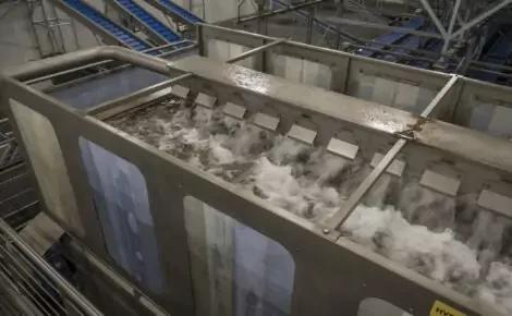 Vegetable Hydrocoolers
