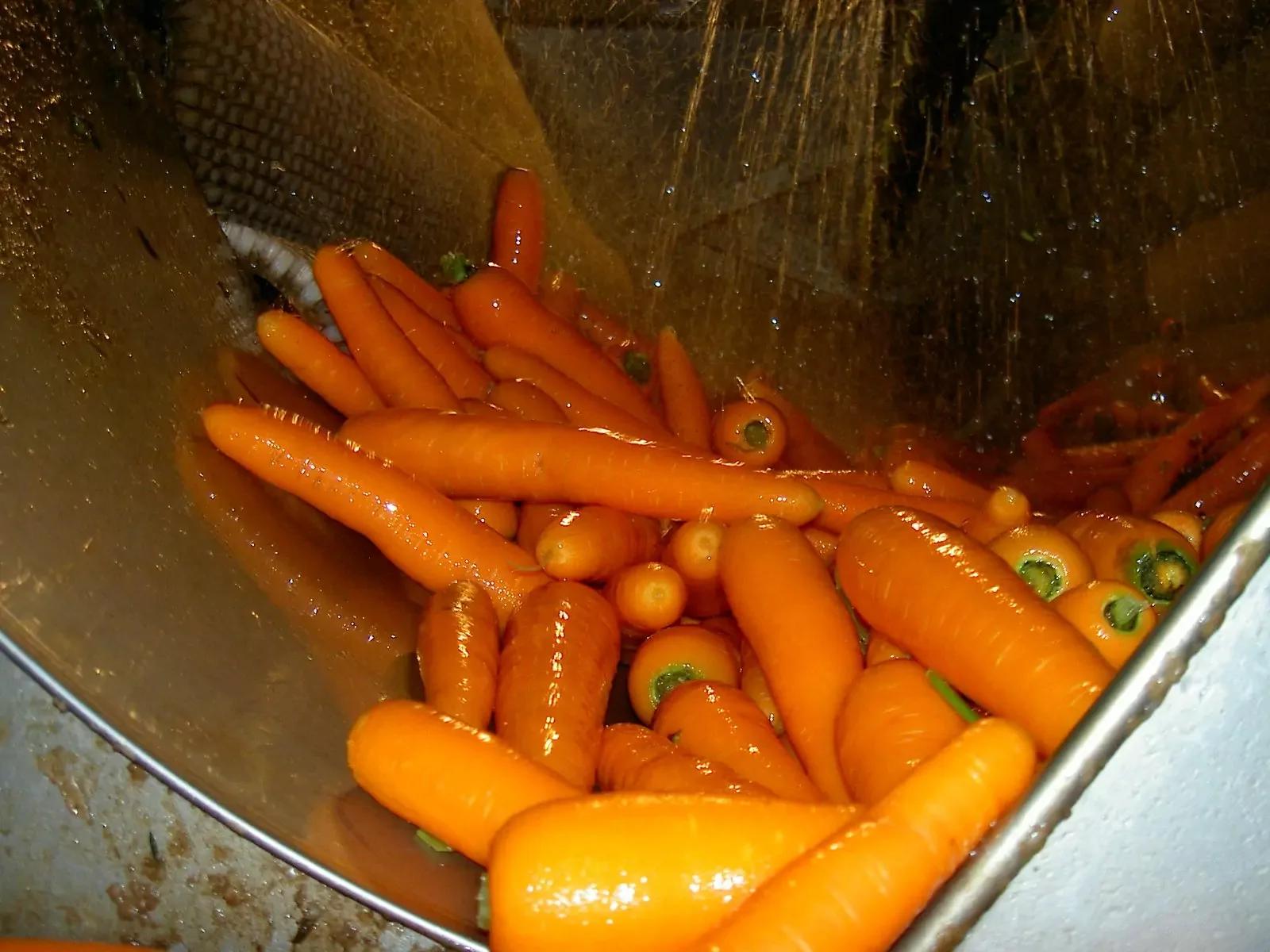 Martin Maq Vegetable Polisher