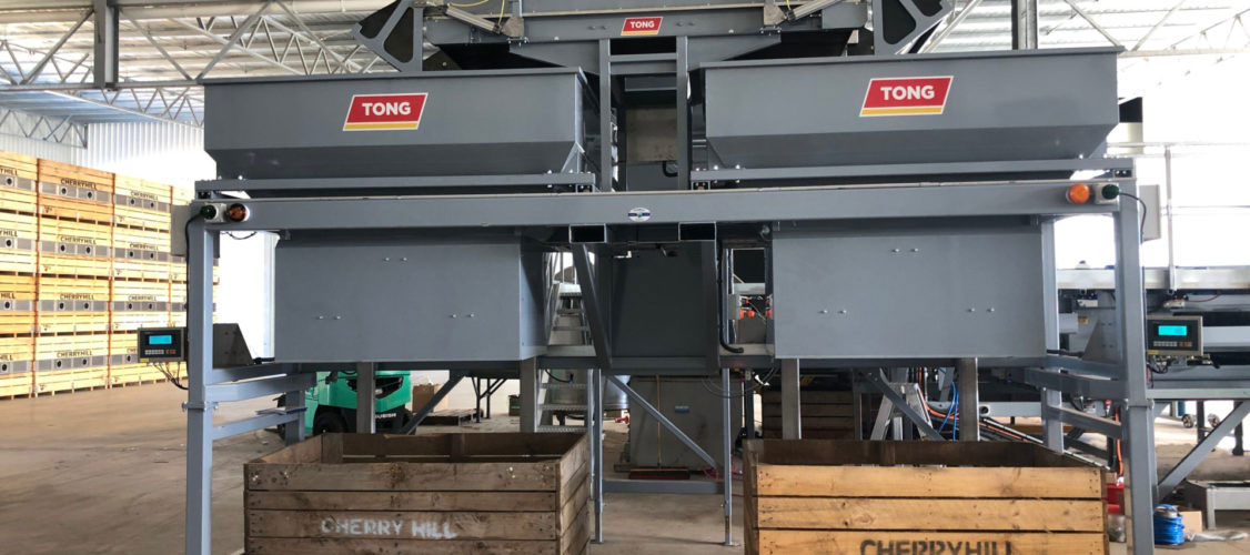Vegetable Filling Equipment