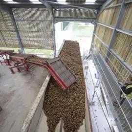 Tong Swift Lift Extendo Mobile Pilers