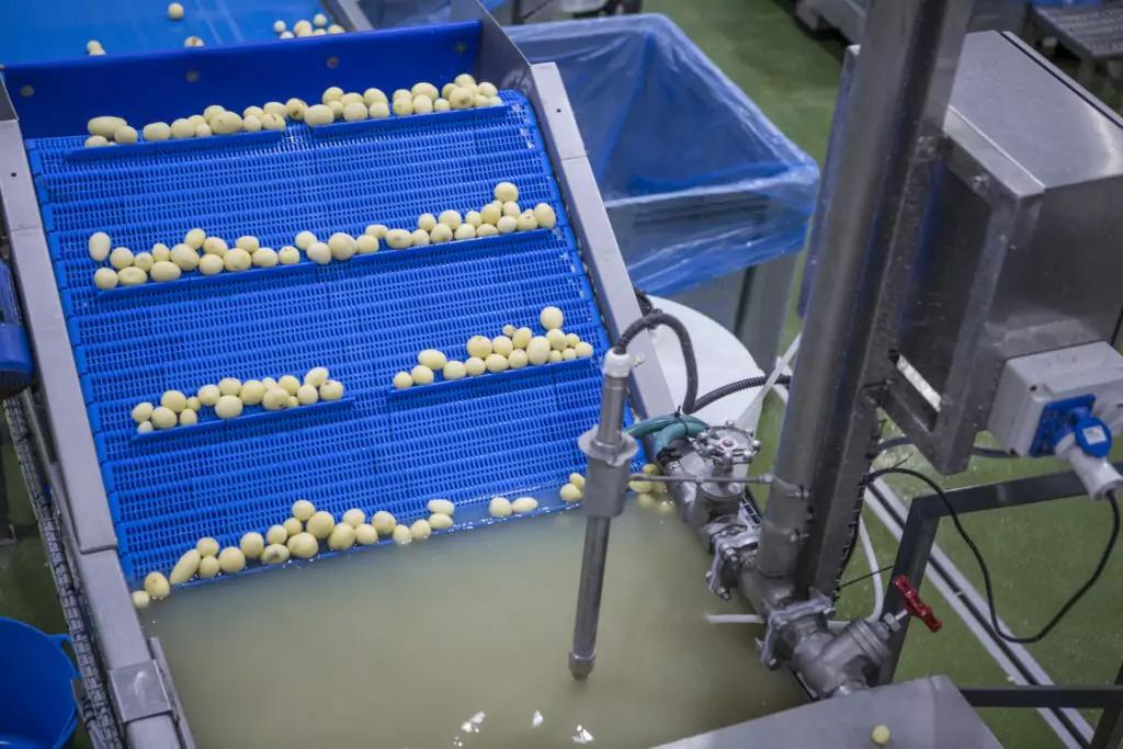 Industrial Potato Peeler