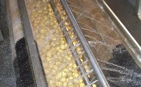 Martin Maq Vegetable Polisher