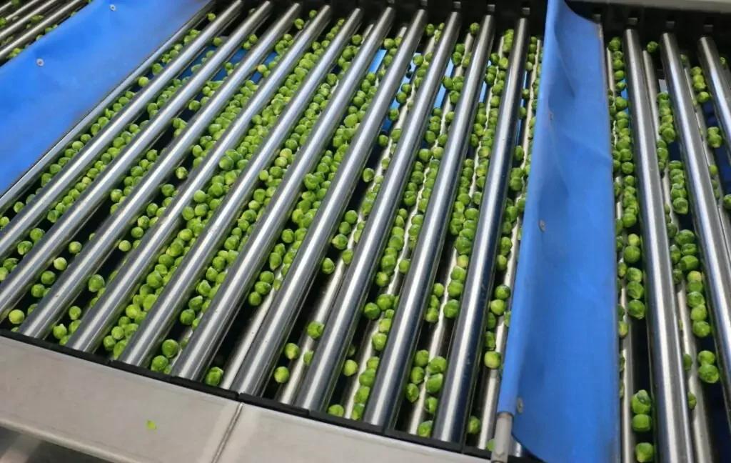 Lift Roller Sizer